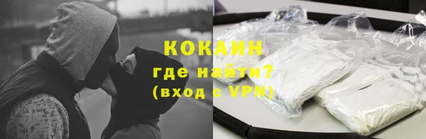 индика Белоозёрский