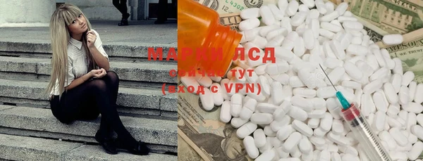 индика Белоозёрский