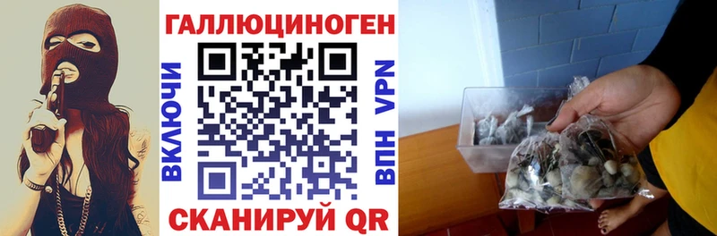Купить где  Новый Уренгой  Псилоцибиновые грибы ЛСД 